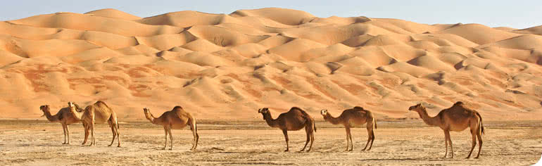 Moyen-Orient