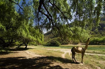 salalah oman