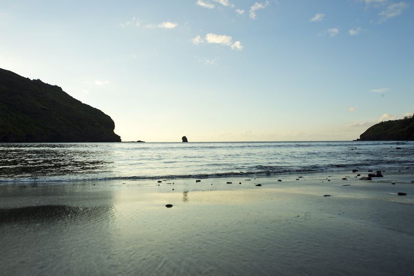 Hiva Oa Tropicalement V tre