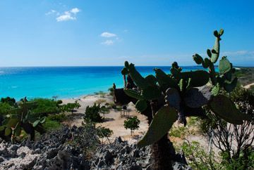 bahia de las aguilas