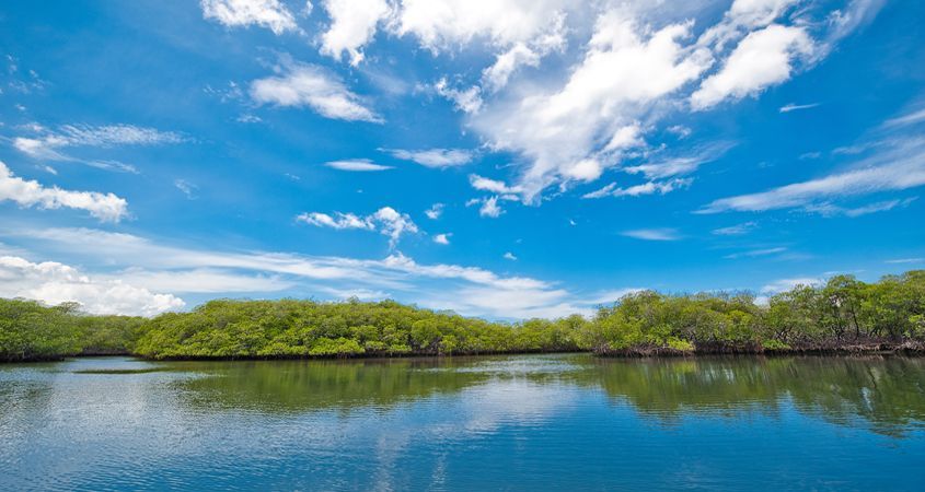 Punta Ricia en Rpublique Dominicaine