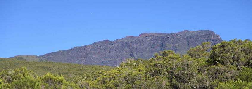 nature piton des neiges