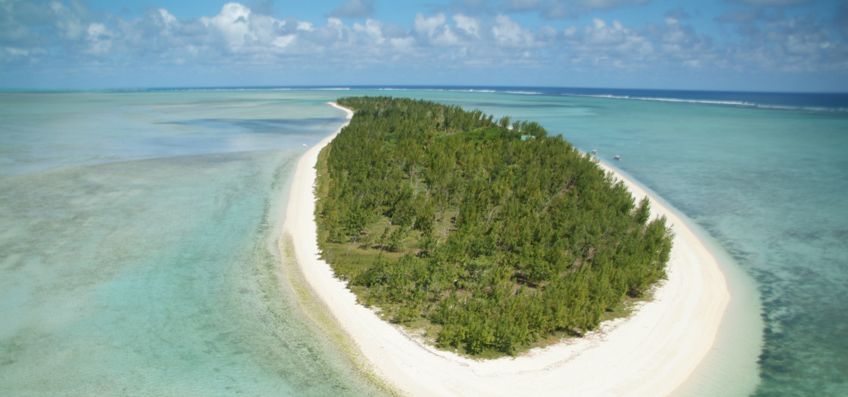 Ile aux Cocos Rodrigues