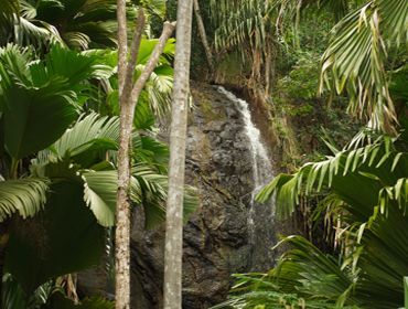 cascade dans la valle de mai  praslin