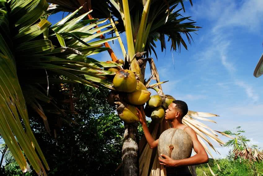 tout savoir seychelles