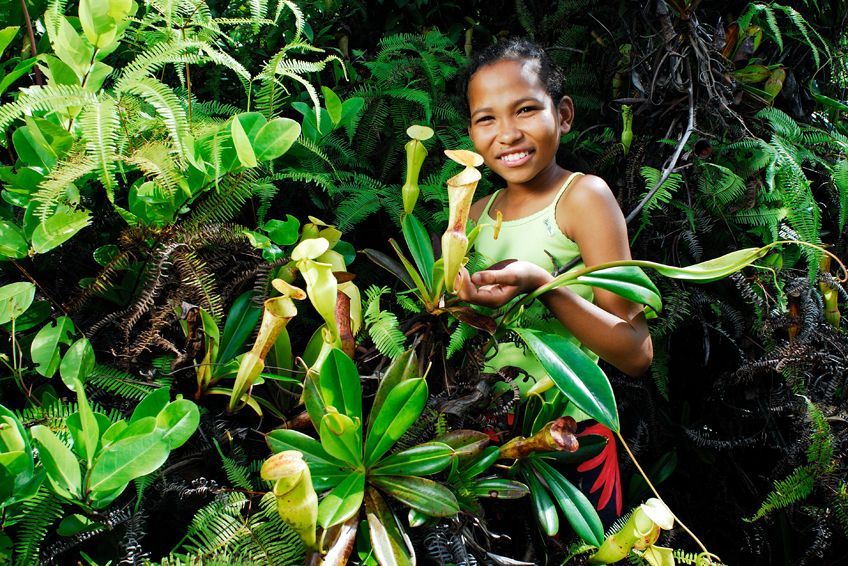 morne seychellois