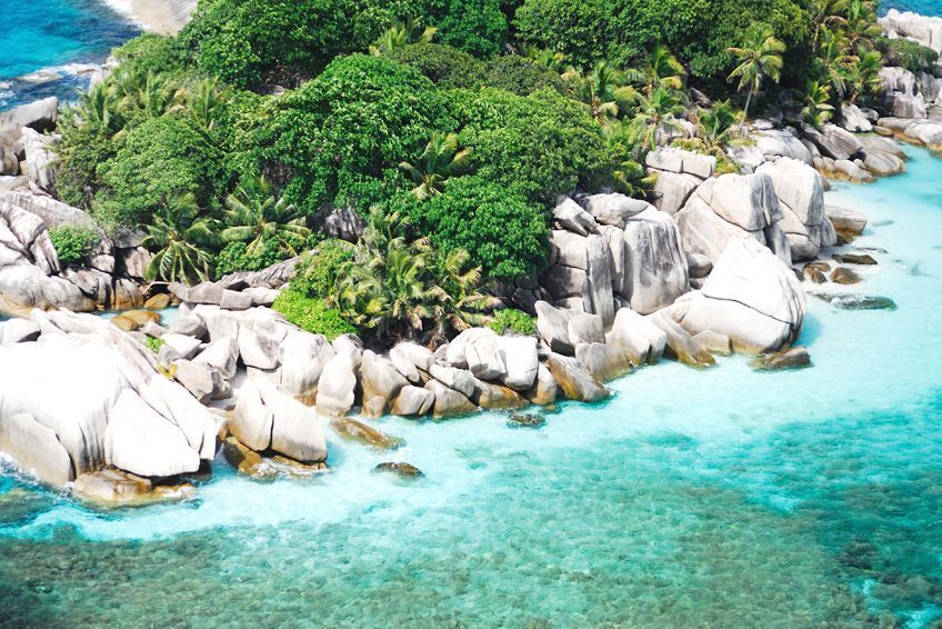 Cousine Island aux Seychelles