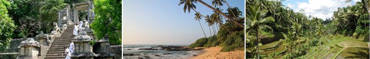 Voyage de noces au Sri Lanka