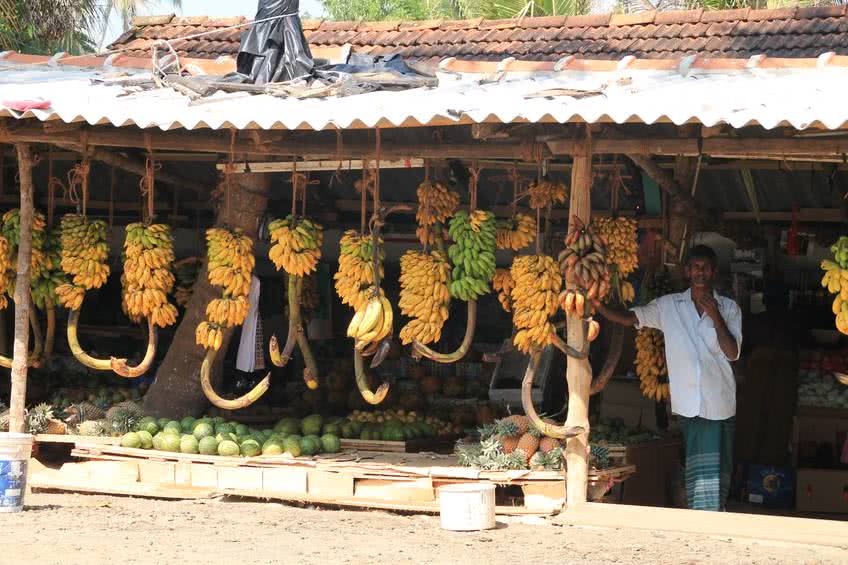 echoppes sri lanka