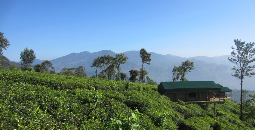 knuckles range sri lanka