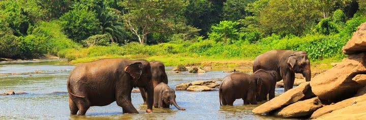 Sri Lanka