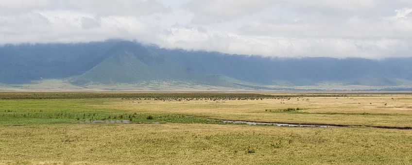  cratère du Ngorongoro 
