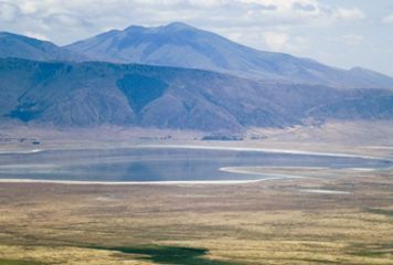 Ngorongoro