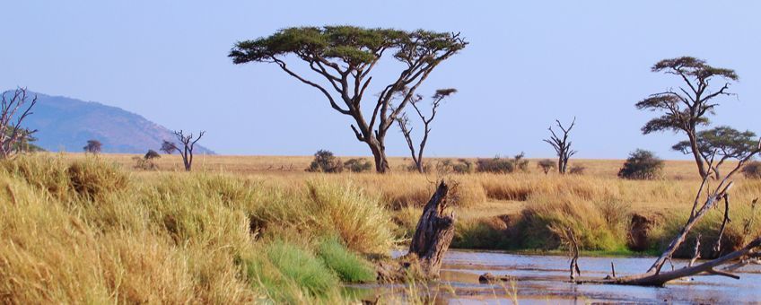 parc national de Ruaha