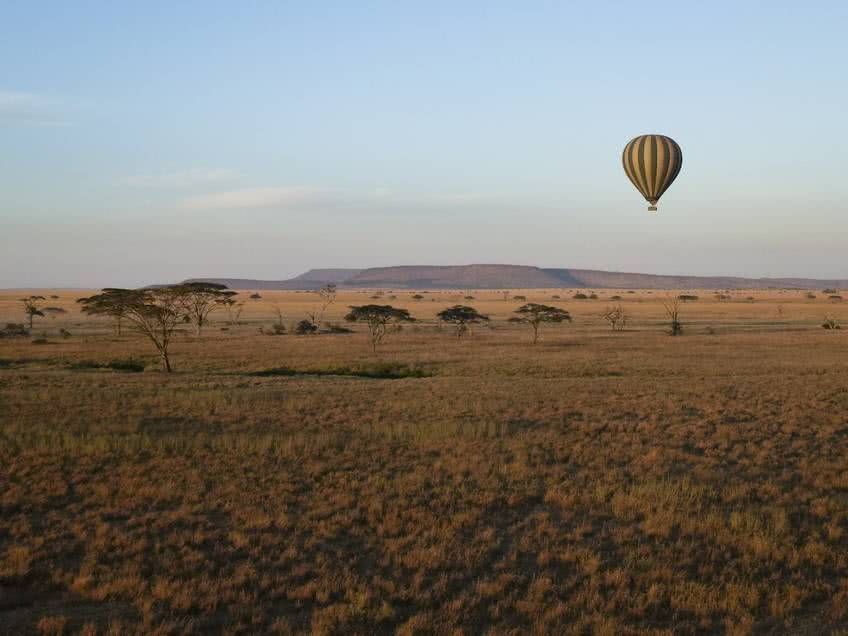 savane tanzanie