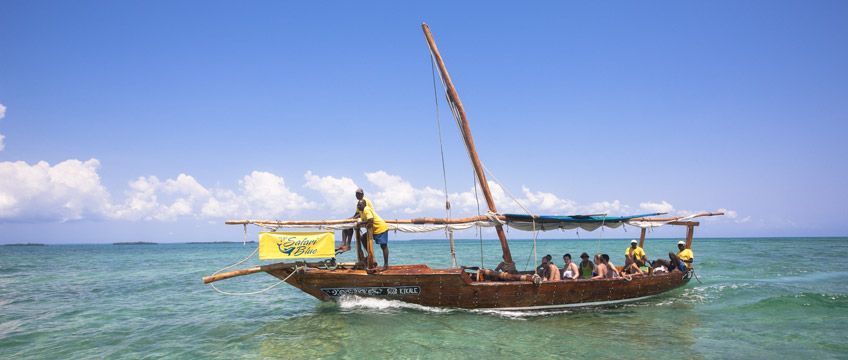 safari blue zanzibar