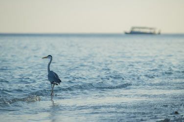 La nature est souveraine !