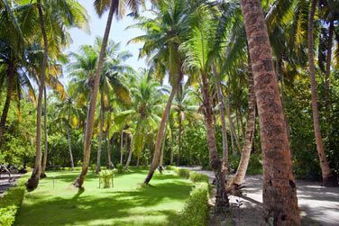 Des jardins luxuriants...