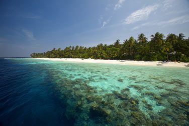 Et les fonds marins incroyables !