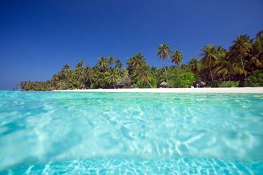 L'eau est cristalline !