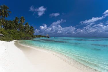 Au coeur de l'Ocan Indien...