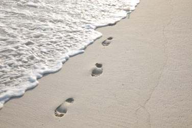 Un concept unique : no news, no shoes. Ici, on joue les Robinsons dans le respect total de l'environnement