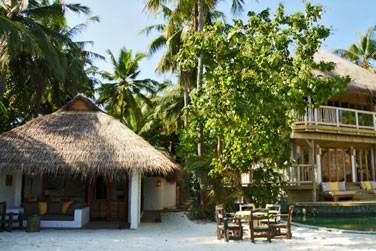 Espace extrieur de la Jungle Reserve