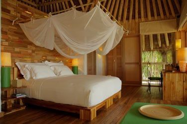 Chambre de la Jungle Reserve