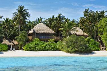 La Jungle Reserve, presque enfouie dans la vgtation, vue du lagon. Un vritable cocon de luxe et d'intimit