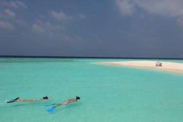 Alors  vos palmes, masque et tuba...