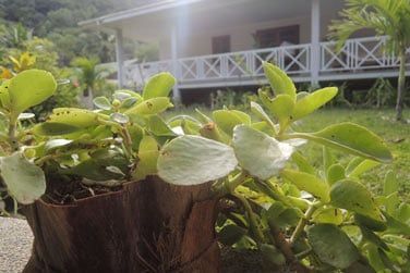 L'architecture crole prdomine