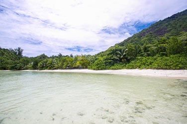 Vgtation luxuriante, plages de sable fin, cocotiers..