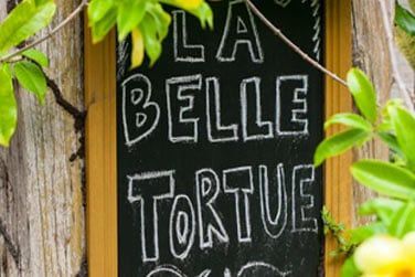 Bienvenue au lodge de La Belle Tortue, une petite structure  l'accueil chaleureux