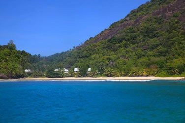 Parfaitement intgre  la vgtation