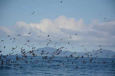 La faune et la flore sont d'une richesse incroyable