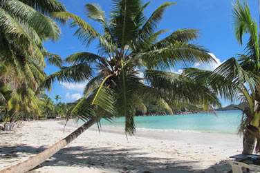 Partez explorer les petites les voisines