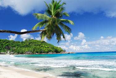 Commencez votre sjour par la dcouverte de Praslin