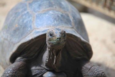 Une exprience  vivre absolument...