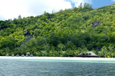 photo Combin 3 les - J'ai nag avec les tortues Seychelles