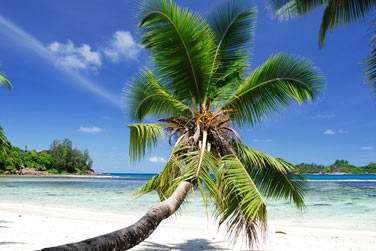 photo Combin 2 les - A prix doux Seychelles