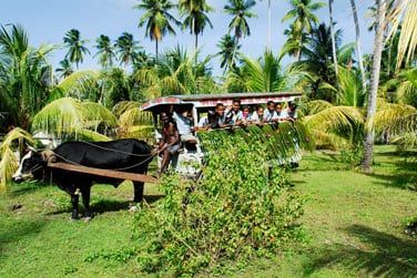 Une le authentique et trs prserve, encore loin des hordes de touristes...