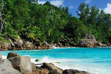 Une nature qui s'exprime  chaque instant