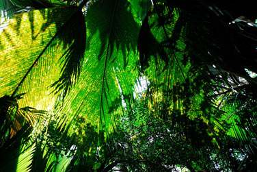 Nous avons slectionn pour vous des hbergements mlant charme et convivialit, parfaitement situs