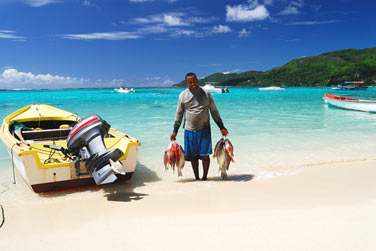 Cousin, Curieuse, Cousine...autant de petites les  dcouvrir