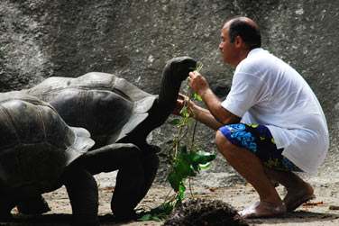 et biensr les clbres tortues...