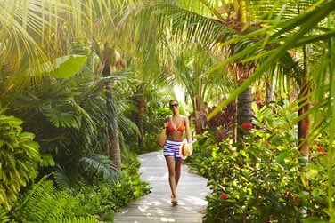 Un vritable jardin de bougainvilliers, d'hibiscus et de cocotiers