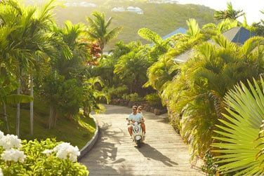 Balade en scooter dans ce paysage verdoyant