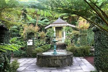 Vue paradisiaque sur un joli petit coin de paradis nich au coeur de la runion