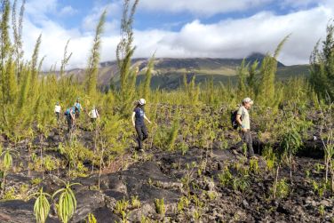 photo Combin Runion / Maurice, l'aventure crole Ile Maurice