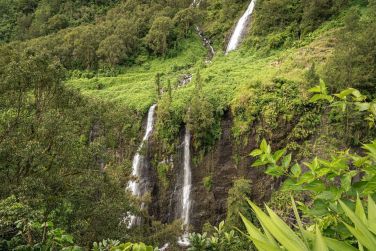 photo Combin Runion / Maurice - Nature & Prestige Ile Maurice